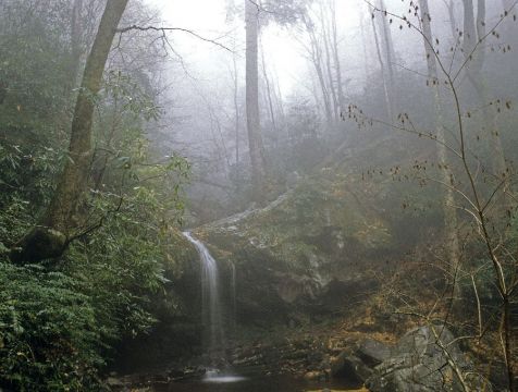 the Great Smoky Mountains National Park
