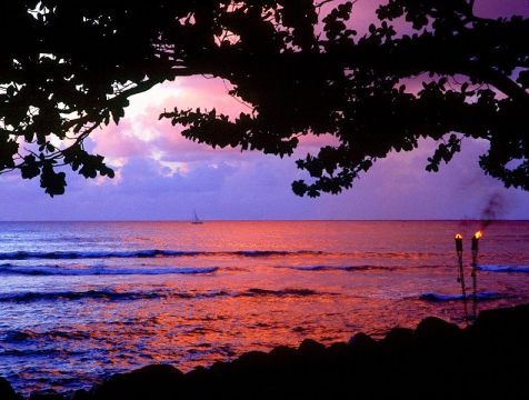 NORTH SHORE