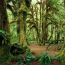olympic national park