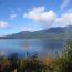 Lake Quinault