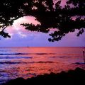 NORTH SHORE